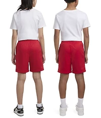 Jordan Big Boys Jordan Mesh PE Shorts