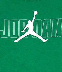 Jordan Little Boys Short-Sleeve Jumpman Jersey T-Shirt & Color Block French Terry Shorts Set