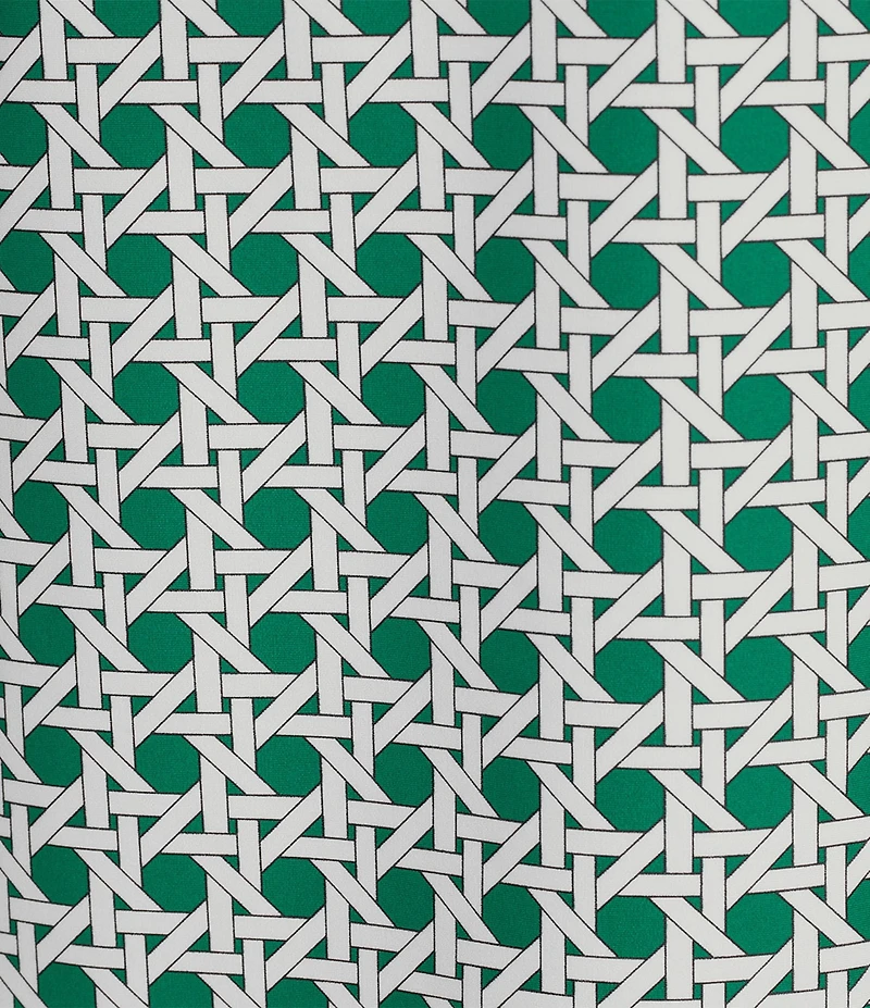 Jude Connally Coordinating Alexa Petite Rattan Print Split V-Neck Sleeveless Tank Top