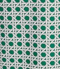 Jude Connally Coordinating Alexa Petite Rattan Print Split V-Neck Sleeveless Tank Top