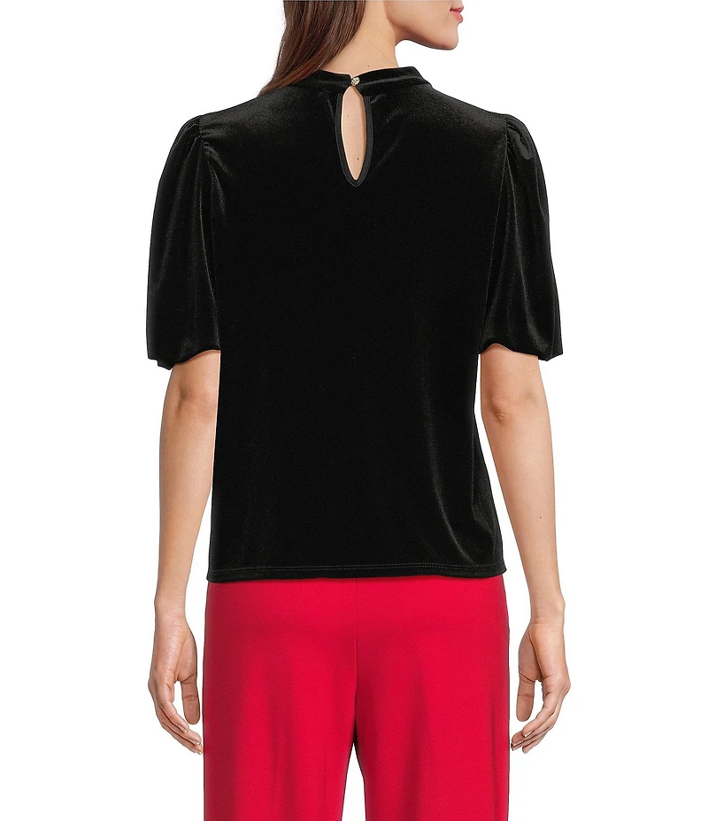 Jude Connally Sheila Stretch Velvet Round Neck Short Sleeve Top