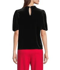 Jude Connally Sheila Stretch Velvet Round Neck Short Sleeve Top