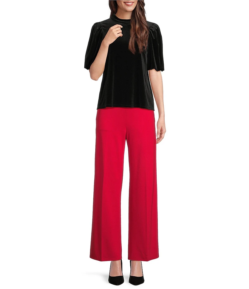 Jude Connally Sheila Stretch Velvet Round Neck Short Sleeve Top