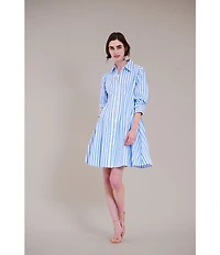 Julia Jordan 3/4 Sleeve Stripe Short Shirt Dress