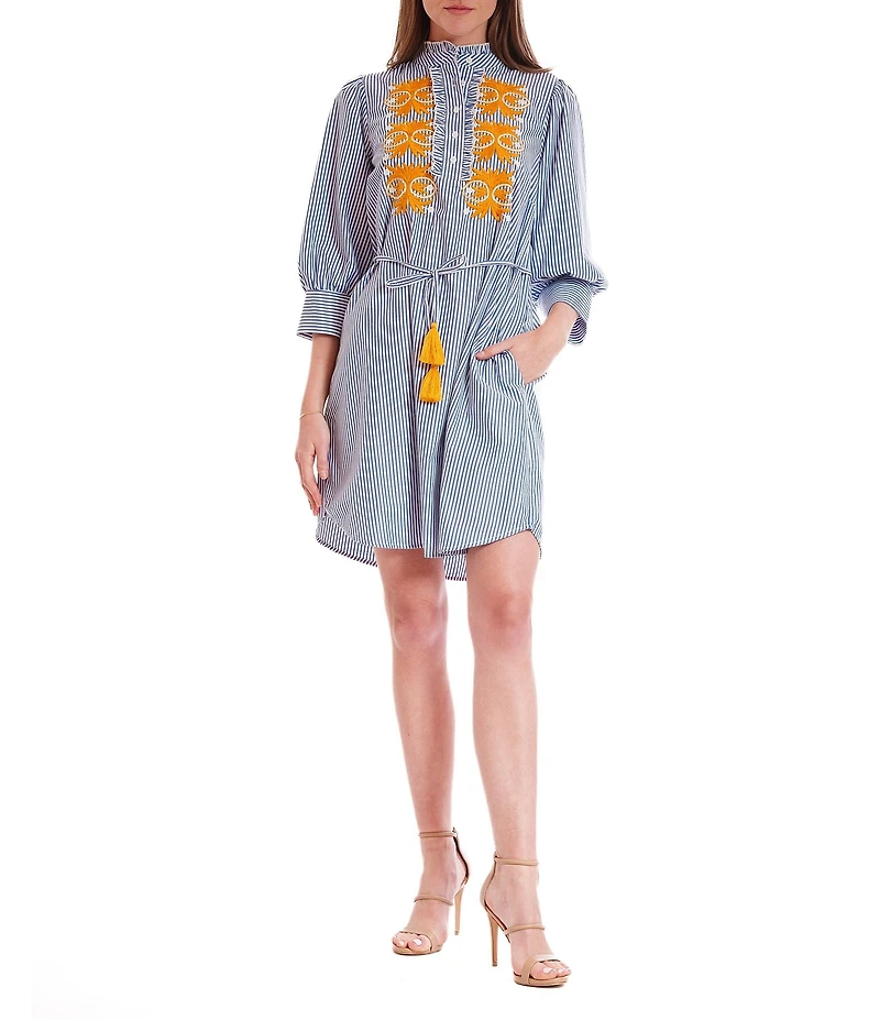 Julia Jordan Mock Neck Long Sleeve Embroidered Striped Tie Waist Sheath Dress
