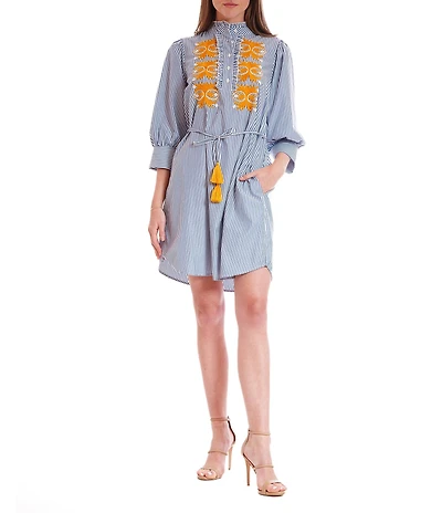 Julia Jordan Mock Neck Long Sleeve Embroidered Striped Tie Waist Sheath Dress