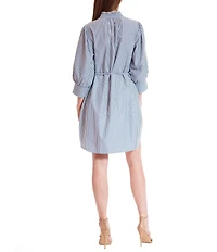 Julia Jordan Mock Neck Long Sleeve Embroidered Striped Tie Waist Sheath Dress