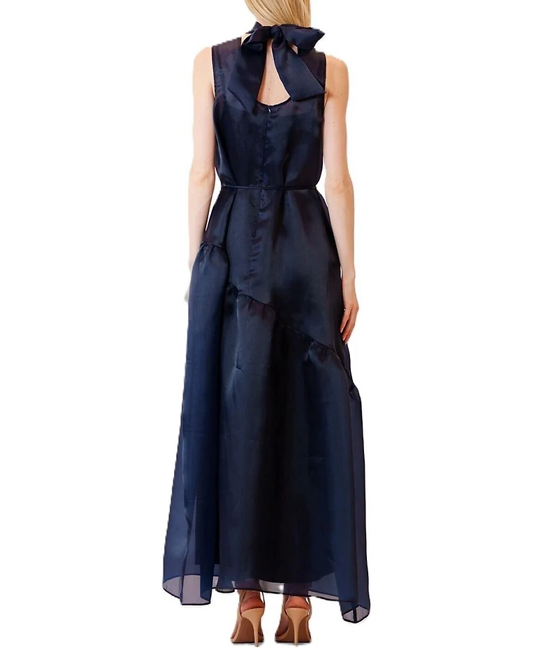 Julia Jordan Tie Neck Organza Overlay Self Tie Dress