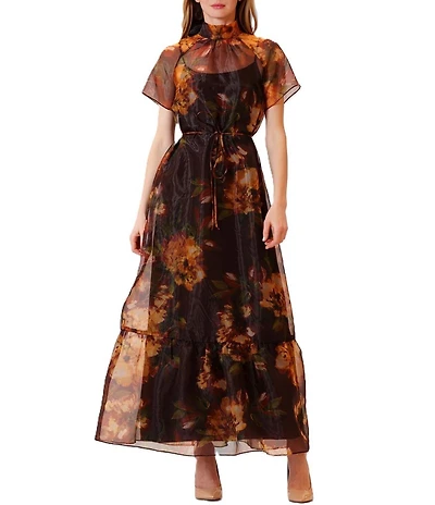 Julia Jordan Tie Neck Printed Organza Overlay Self Tie Dress
