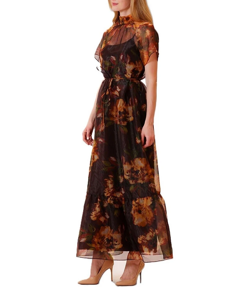 Julia Jordan Tie Neck Printed Organza Overlay Self Tie Dress