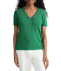 Kasper Short Sleeve V Neck Sweater Top