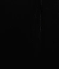 Kasper Velvet Wide Leg Pull-On Pant