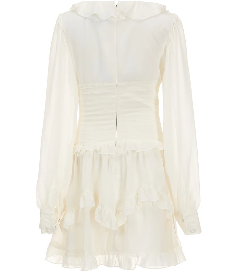 Katie J NYC Delphie Long Sleeve Tutu-Skirted Dress