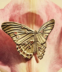 Kendra Scott Cailey Butterfly Statement Stud Earrings