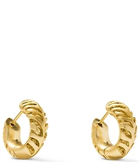 Kendra Scott Tiger Striped Mikki Huggie Hoop Earrings