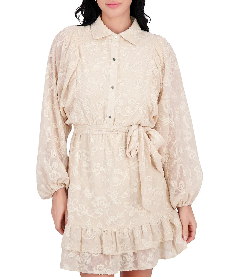 Kensie Point Collar Long Bishop Sleeves Ruffle Hem Embroidered Woven Shirt Dress