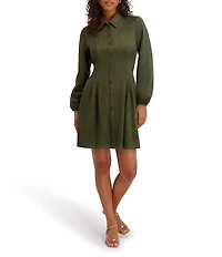 Kensie Faux Suede Collar Neck Long Sleeve Button Front Pleated Mini Dress
