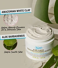 Kiehl's Since 1851 Rare Earth Deep Pore Cleansing Clay Mask