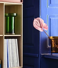 Kosta Boda Limelight Low Vase