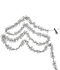 Kurt S. Adler 65-Foot 2000-Light LED Cluster Garland
