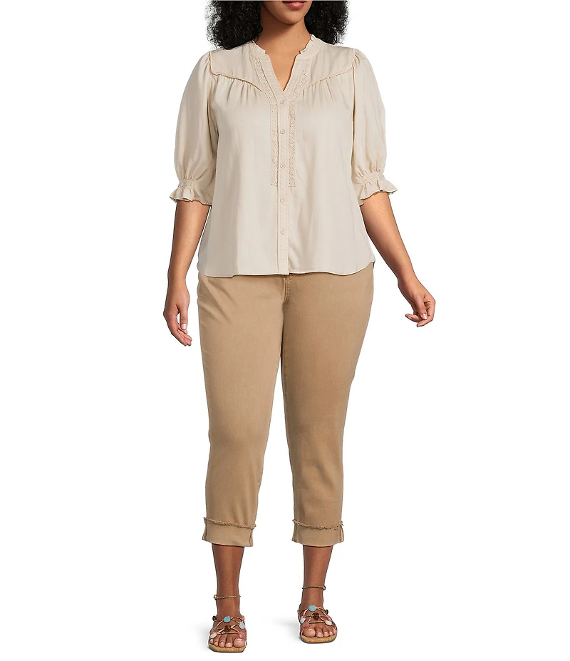 KUT From The Kloth Amy Plus Size Straight Crop Jeans