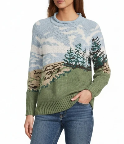 L.L.Bean Signature Original Heritage Coastal Scenic Organic Cotton Rollneck Raglan Long Sleeve Pullover Novelty Sweater