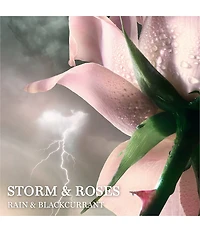 Lancome Absolue Les Parfums Storm & Roses Eau de Parfum