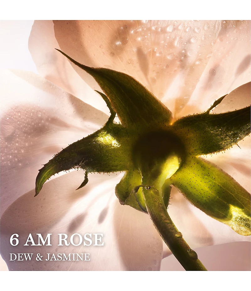 Lancome Absolue Les Parfums 6 Am Rose Eau de Parfum