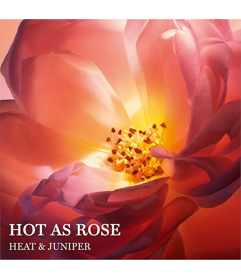 Lancome Absolue Les Parfums Hot As Rose Eau de Parfum 3.4 oz.