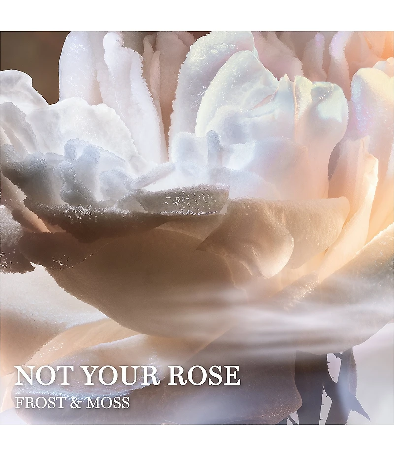 Lancome Absolue Les Parfums Not Your Rose Eau de Parfum 3.4 oz.