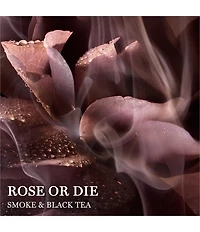 Lancome Absolue Les Parfums Rose Or Die Eau de Parfum 3.4 oz.