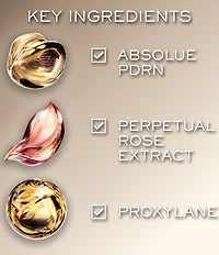 Lancome Absolue Longevity Soft Refillable Cream