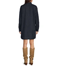 Lauren Ralph Lauren Denim Spread Collar Long Sleeve Shirt Dress