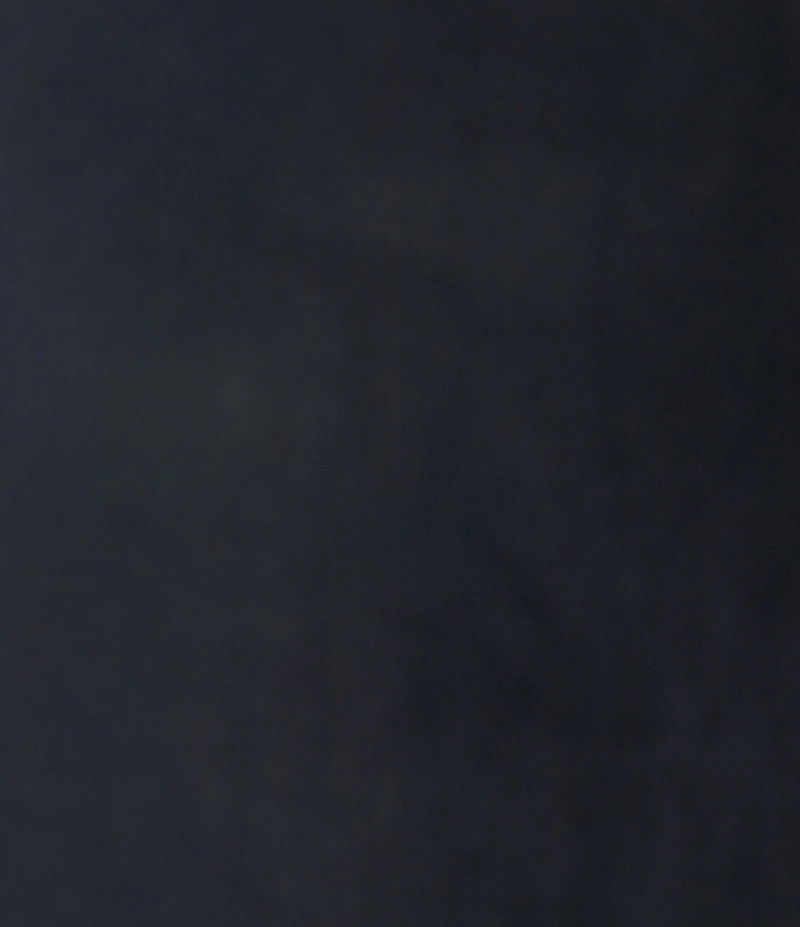 Lauren Ralph Lauren Point Collar Long Roll-Tab Sleeve Button Front Linen Shirt