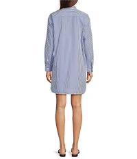 Lauren Ralph Lauren Striped Spread Collar Long Sleeve Shirt Dress