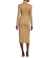 Lauren Ralph Lauren Tie-Front Long Sleeve Turtleneck Dress