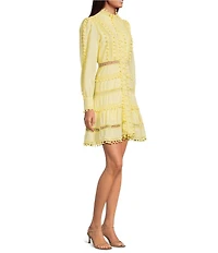 Layered With Love Carla Woven Mock Neck Long Sleeves Ruffle Tiered Hem Fit & Flare Mini Dress
