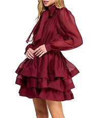 Layered With Love Elise Long Sleeve Neck Tie Ruffle Mini Dress