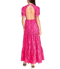 Layered With Love Lace Crew Neck Short Sleeve A-Line Maxi Dress