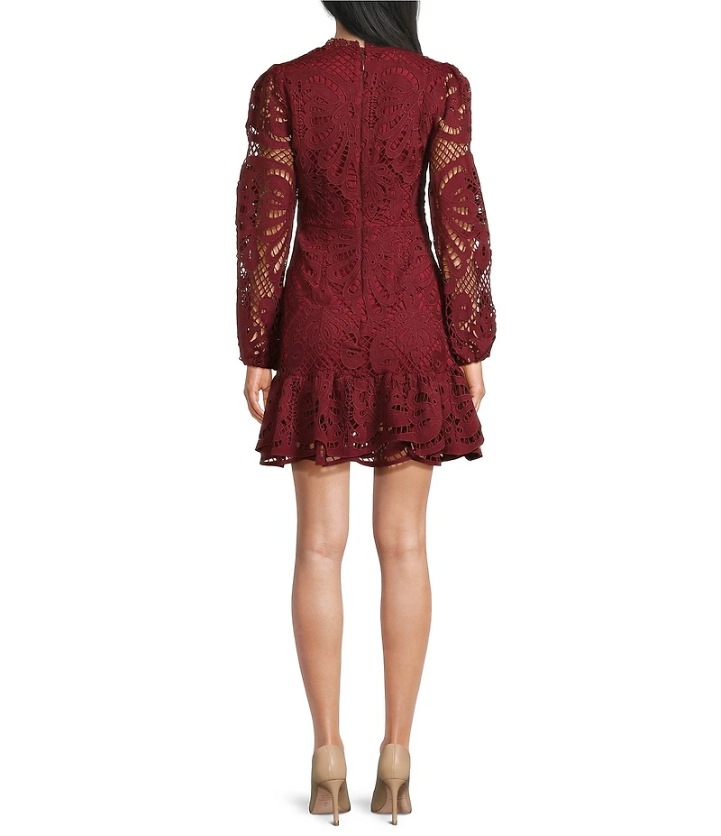 Layered With Love Vivian Illusion Lace Sleeve Ruffle Hem Mini Dress