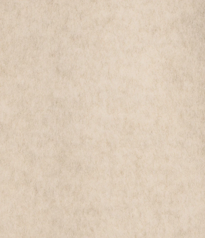 Le' AL.X Wool Blend Woven Notch Lapel Long Sleeve Button Front Cropped Coordinating Blazer