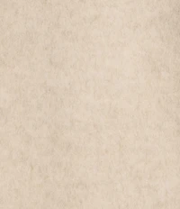 Le' AL.X Wool Blend Woven Notch Lapel Long Sleeve Button Front Cropped Coordinating Blazer