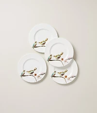 Lenox Chirp Salad Plates, Set of 4