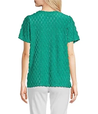 Leo & Nicole Split V-Neck Short Sleeve Clip Dot Top