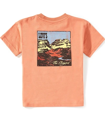 Levi's® Little Boys Short-Sleeve Canyon Landscape T-Shirt