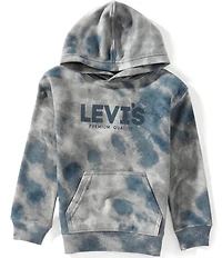 Levi's® Little Boys Long Sleeve Printed Hoodie