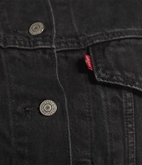Levi's® Plus Size 90's Denim Trucker Jacket