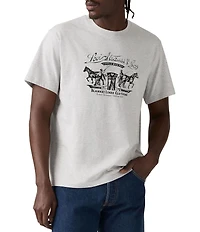 Levi's® Short Sleeve Graphic Relaxed Fit T-Shirt