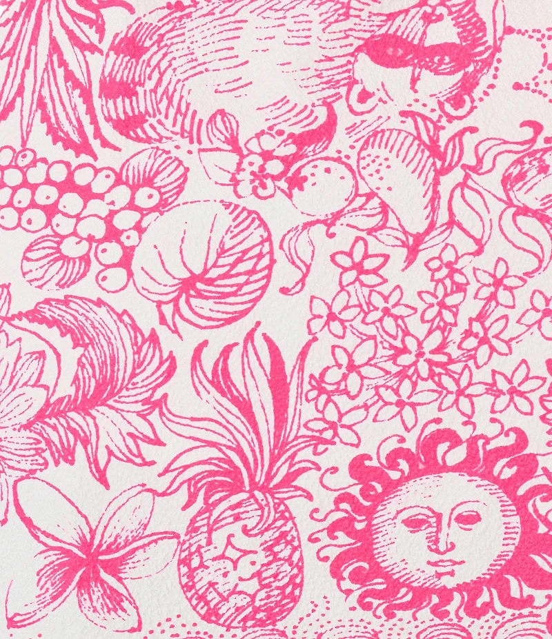 Lilly Pulitzer Leven Lil Fleur De Lilly Print Contrast Trim Bralette Swim Top