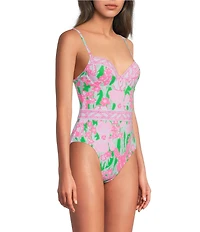 Lilly Pulitzer Palma Border Print One Piece Swimsuit